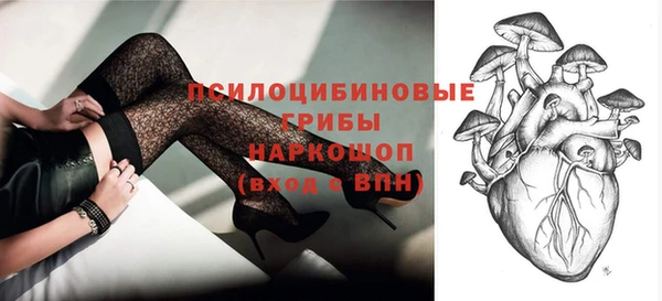 ГАЛЛЮЦИНОГЕННЫЕ ГРИБЫ Алексин