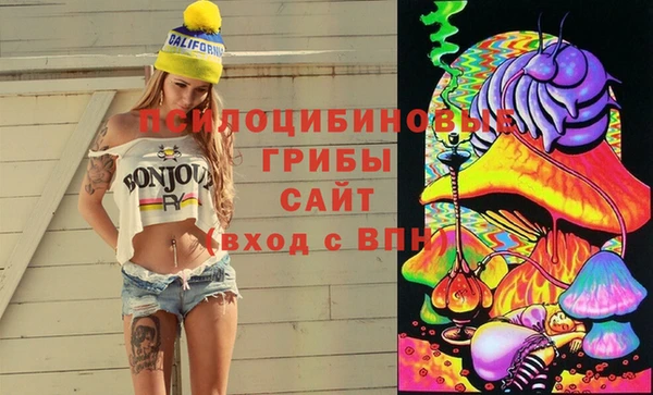 ГАЛЛЮЦИНОГЕННЫЕ ГРИБЫ Алексин