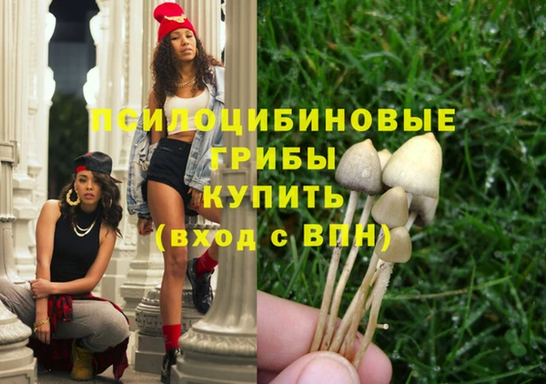 ГАЛЛЮЦИНОГЕННЫЕ ГРИБЫ Алексин