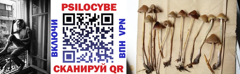 Галлюциногенные грибы мицелий  Болотное 